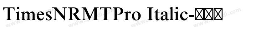 TimesNRMTPro Italic字体转换